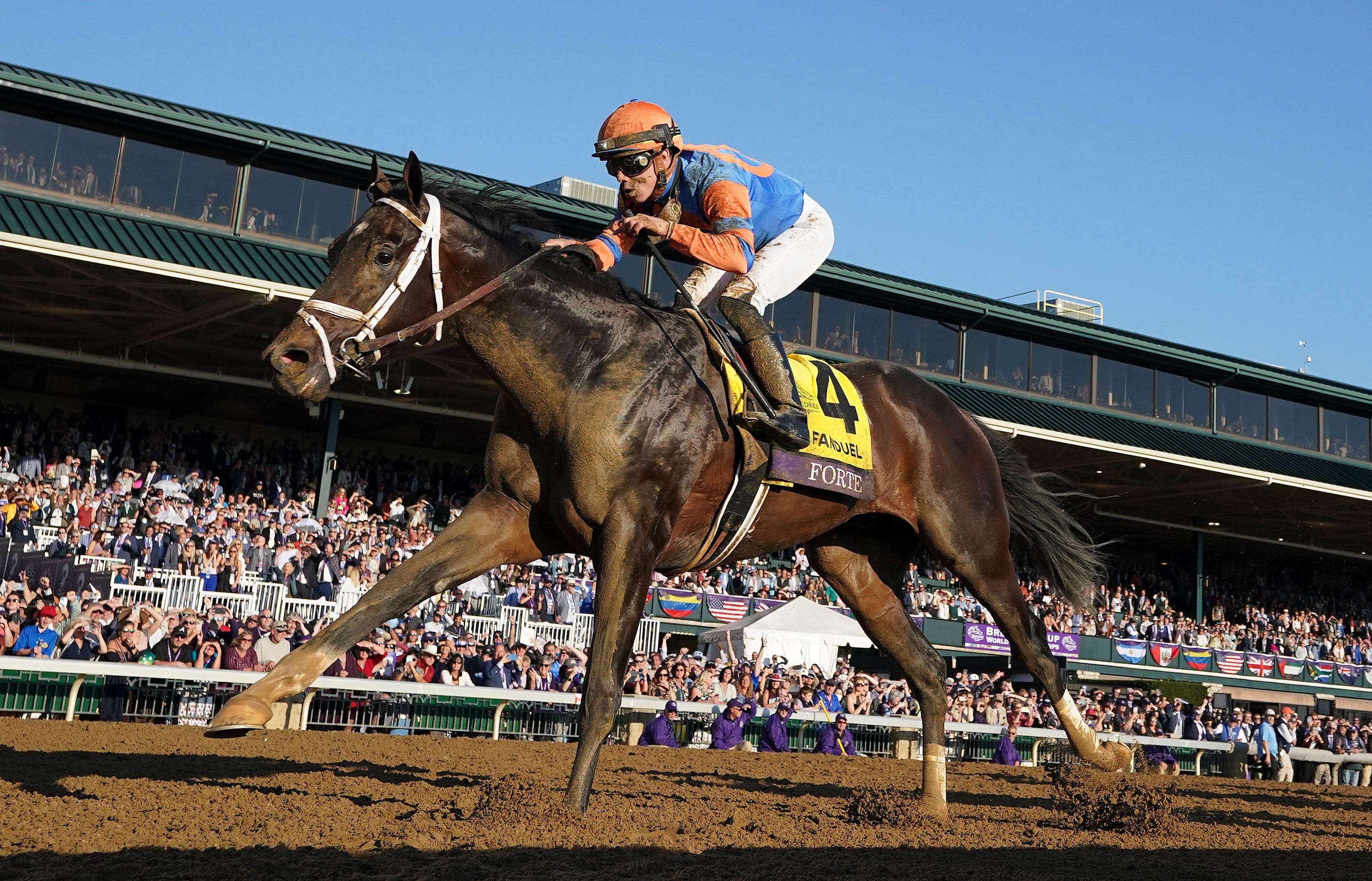 Thrilling derby horse pictures 2023 showcase the excitement of racing