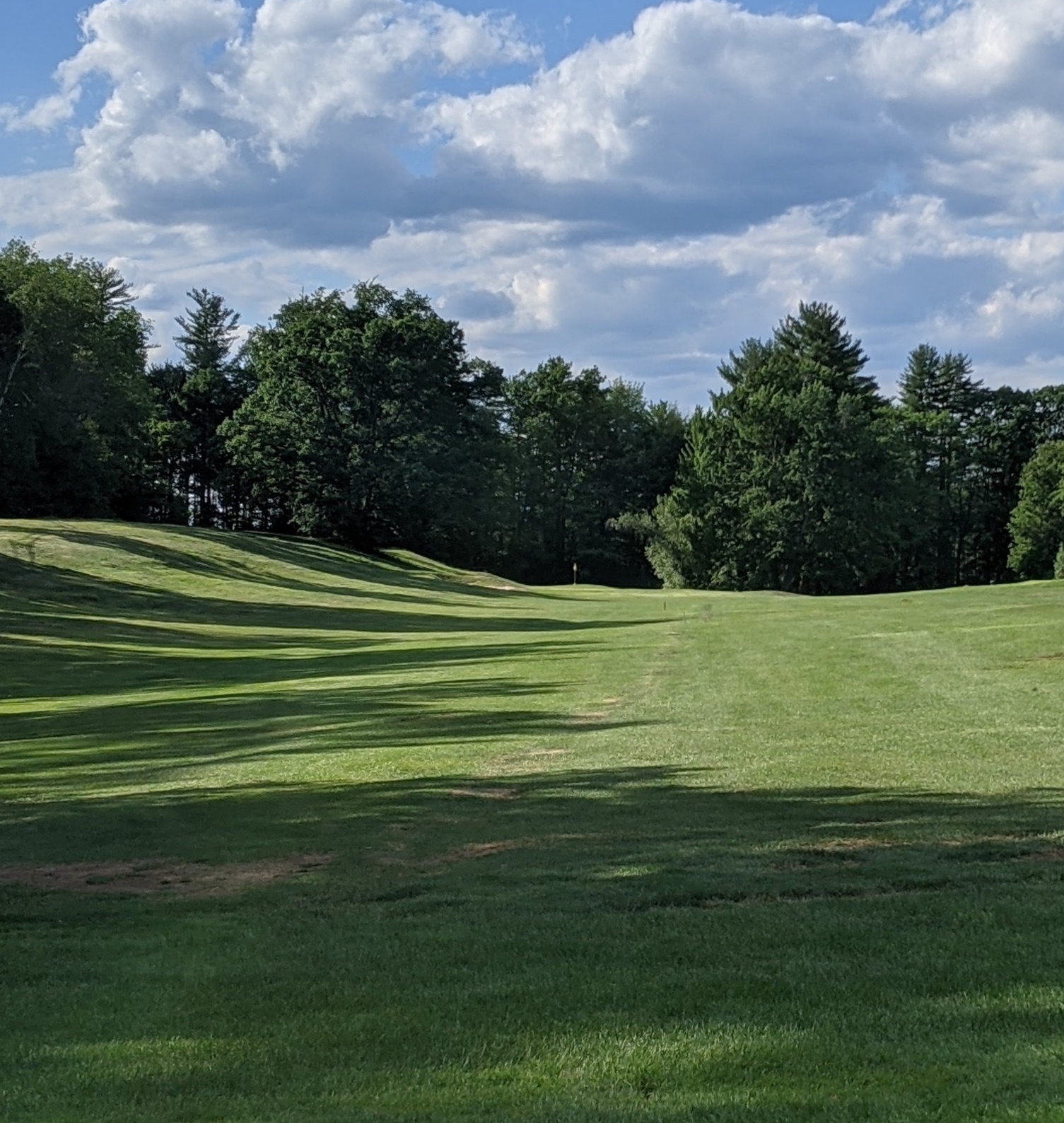 Discover the joy of golf at dustin country club for everyone