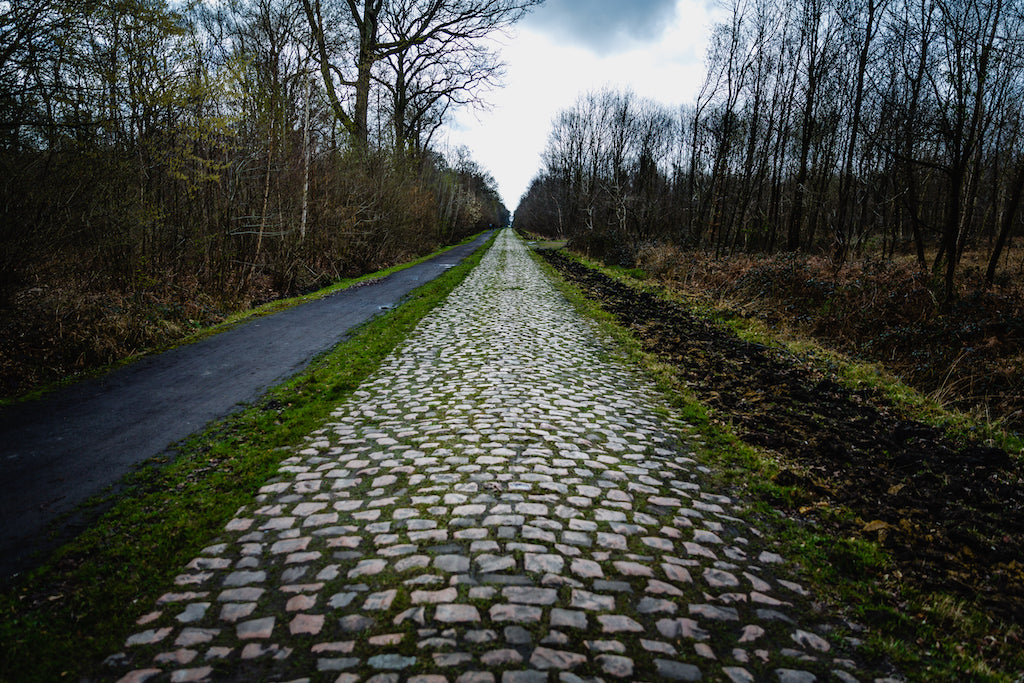 Ultimate guide to exploring the beauty of arenberg forest today