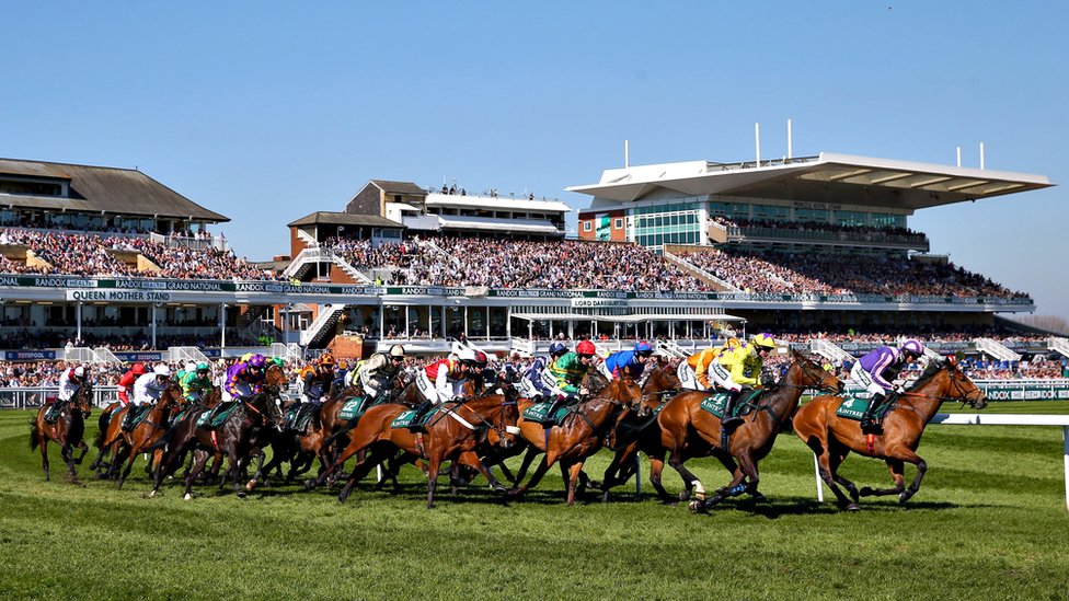 Grand national horse race and the resilient spirit of champions