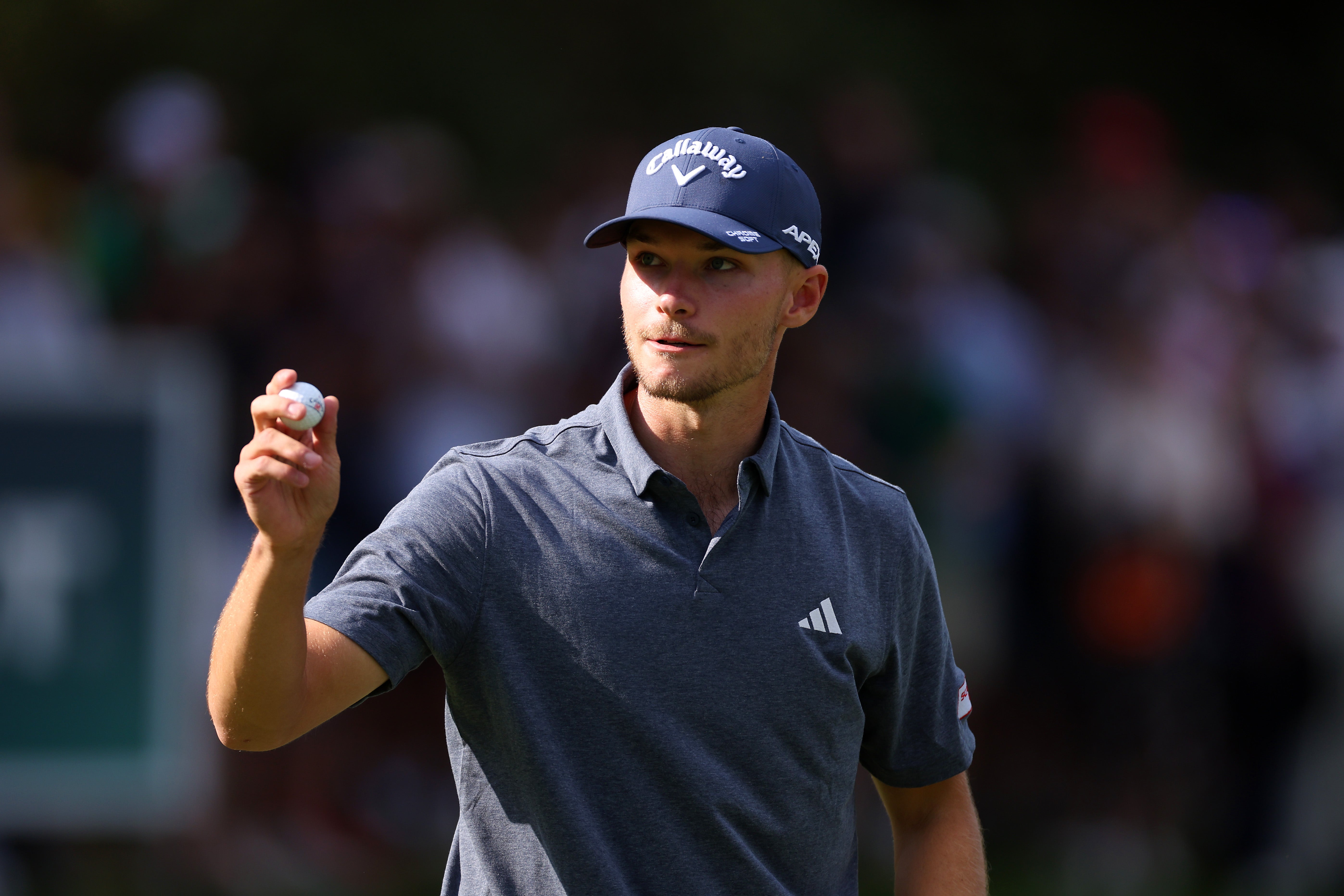 Unparalleled insights into hojgaard’s ryder cup performance and journey