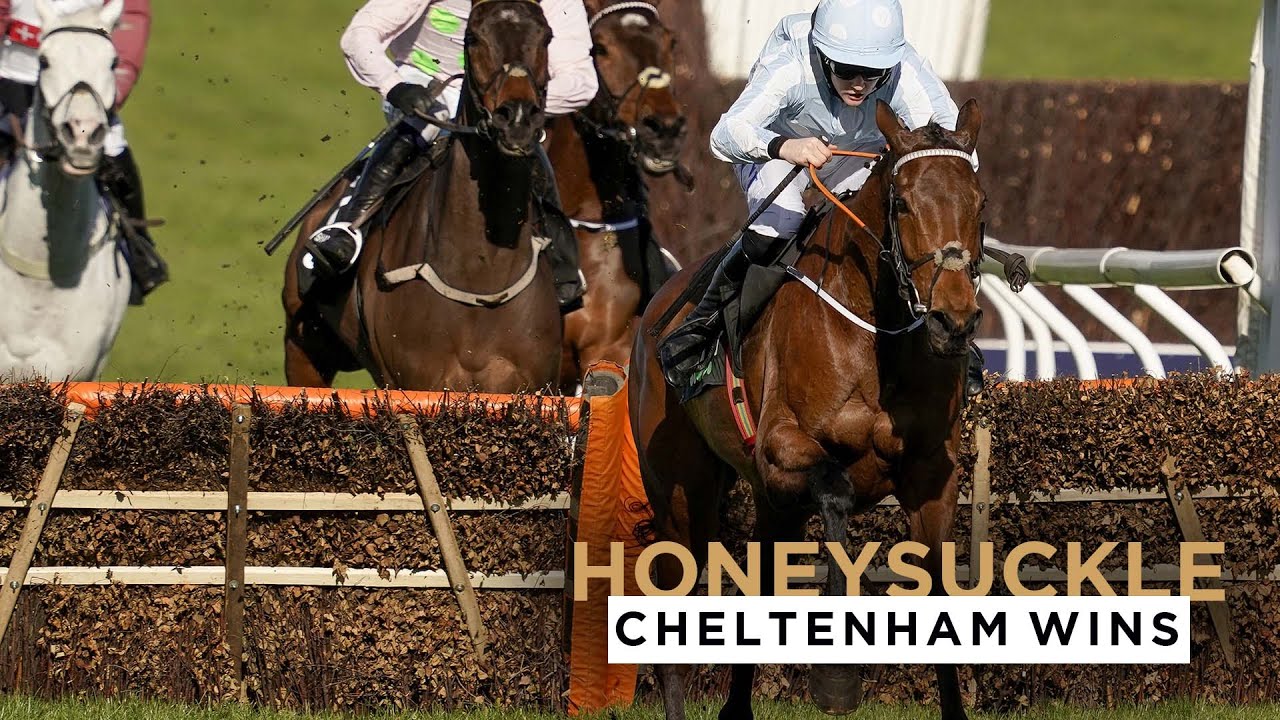 Honeysuckle cheltenham champion: elevate your experience today