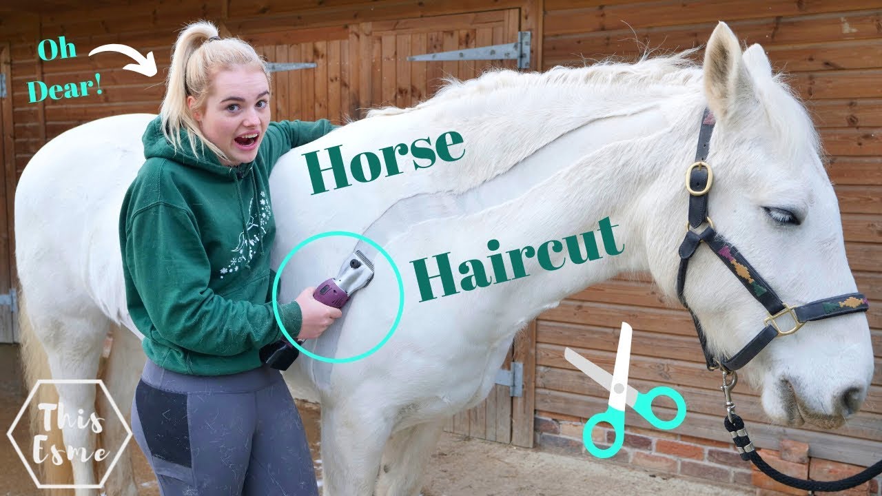 Driven to create the perfect horse haircut for your equine friend