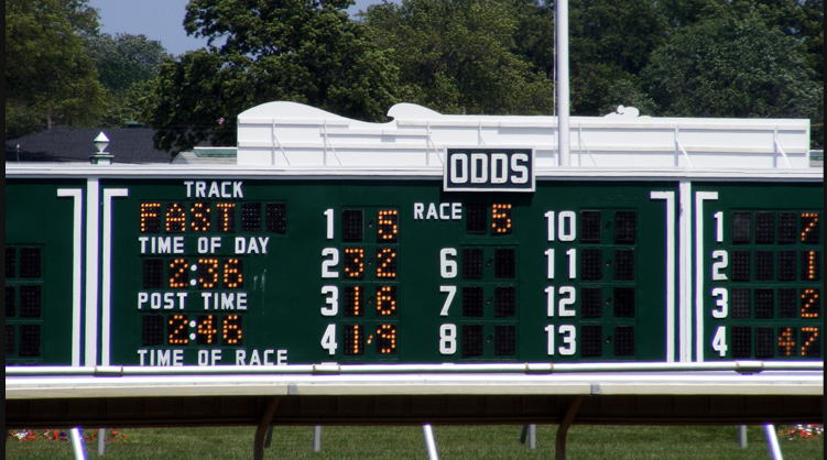 Horse racing scoreboard collaborative insights for fans and experts