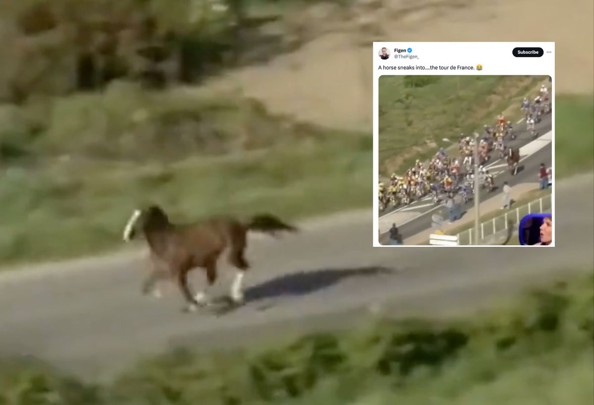 **horse running tour de france** an unforgettable equestrian adventure