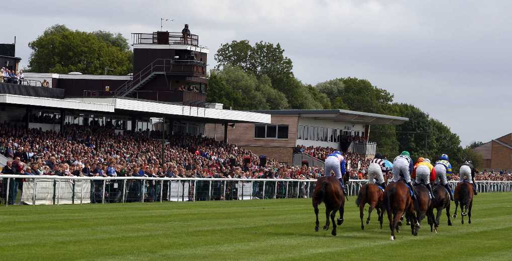 Energetic adventures await at the thrilling huntingdon races today