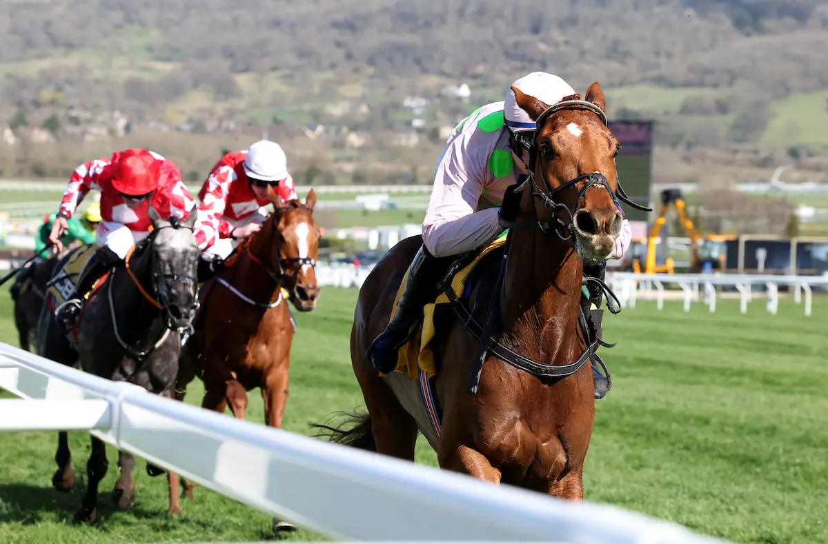 High-impact jcb triumph hurdle highlights and thrilling moments to enjoy