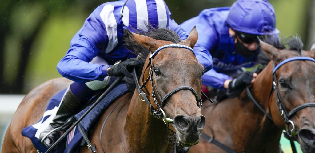 Unparalleled insights into the fascinating world of jim crowley blog