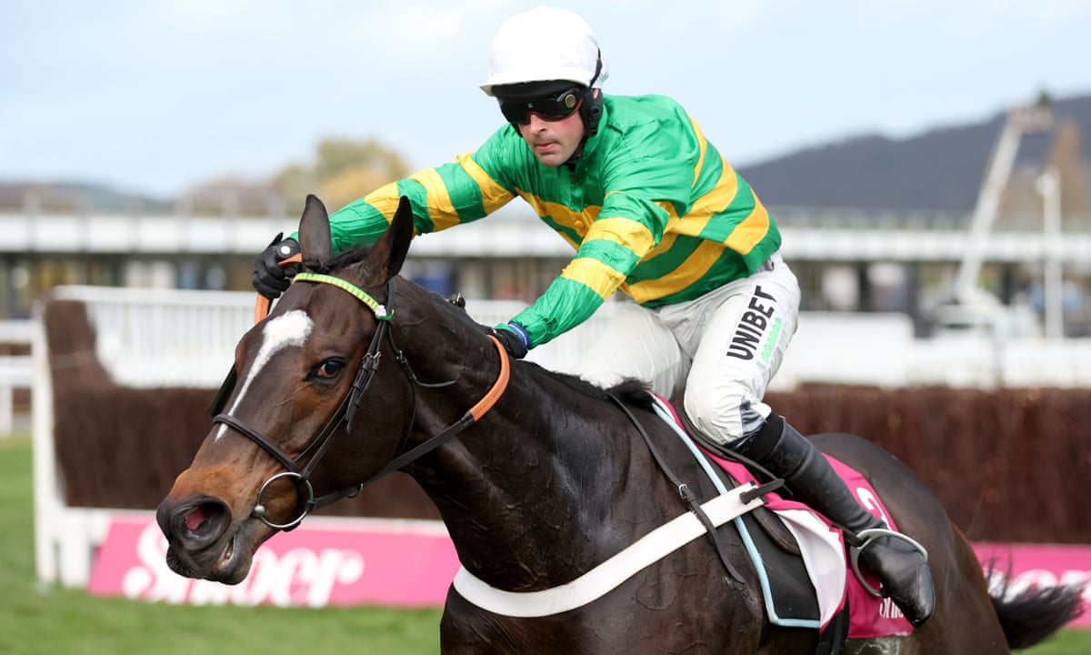 Pioneering insights into the majestic jonbon horse and its journey