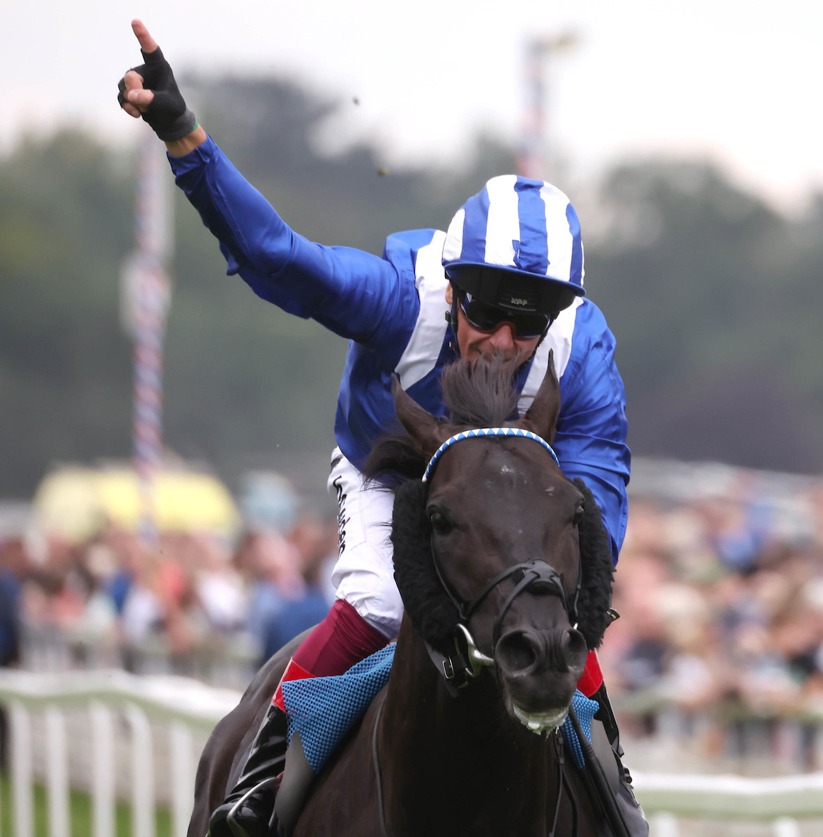Persevering contenders in the juddmonte international stakes race