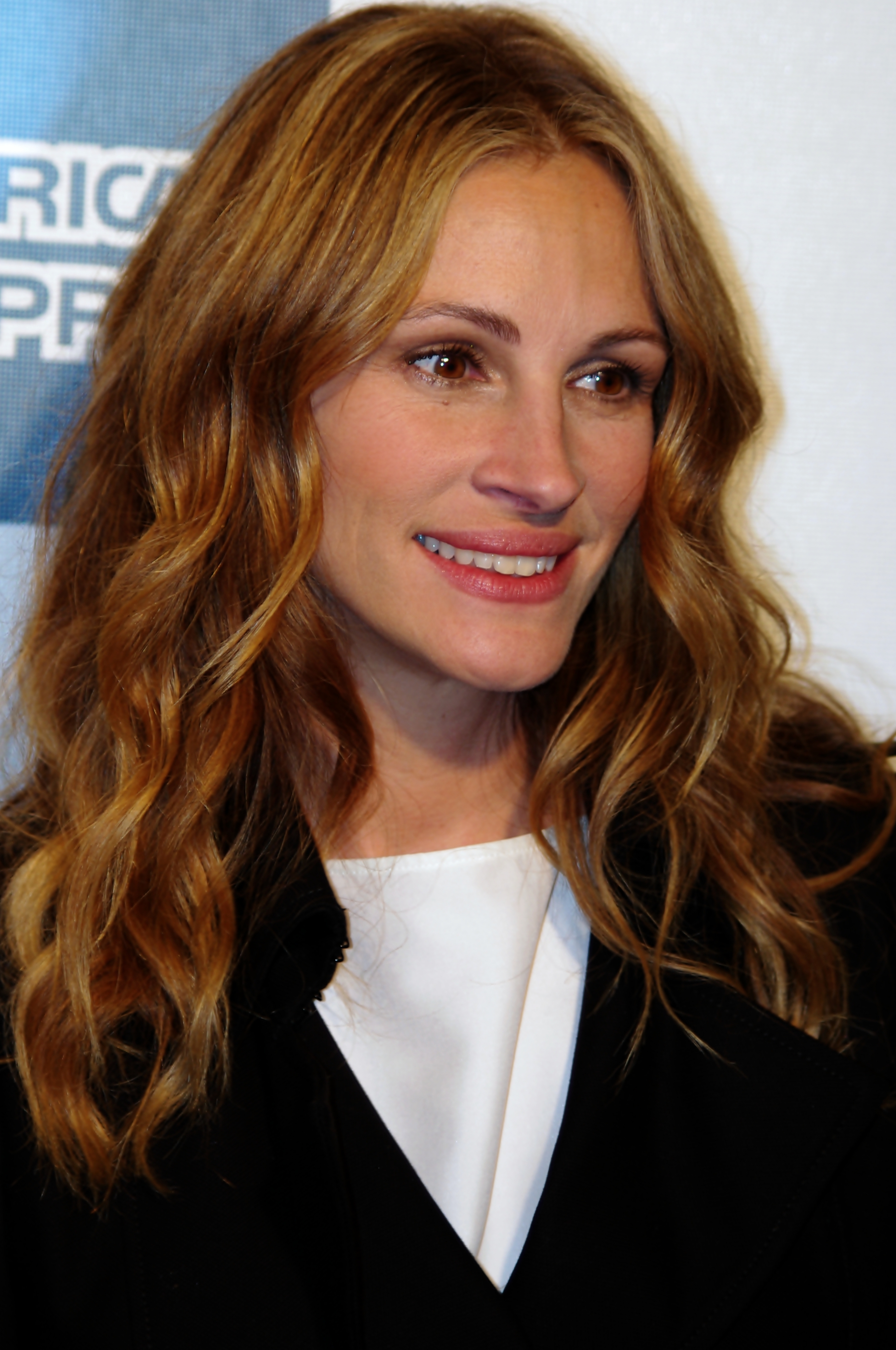 Julia roberts pics showcasing contemporary elegance and charm