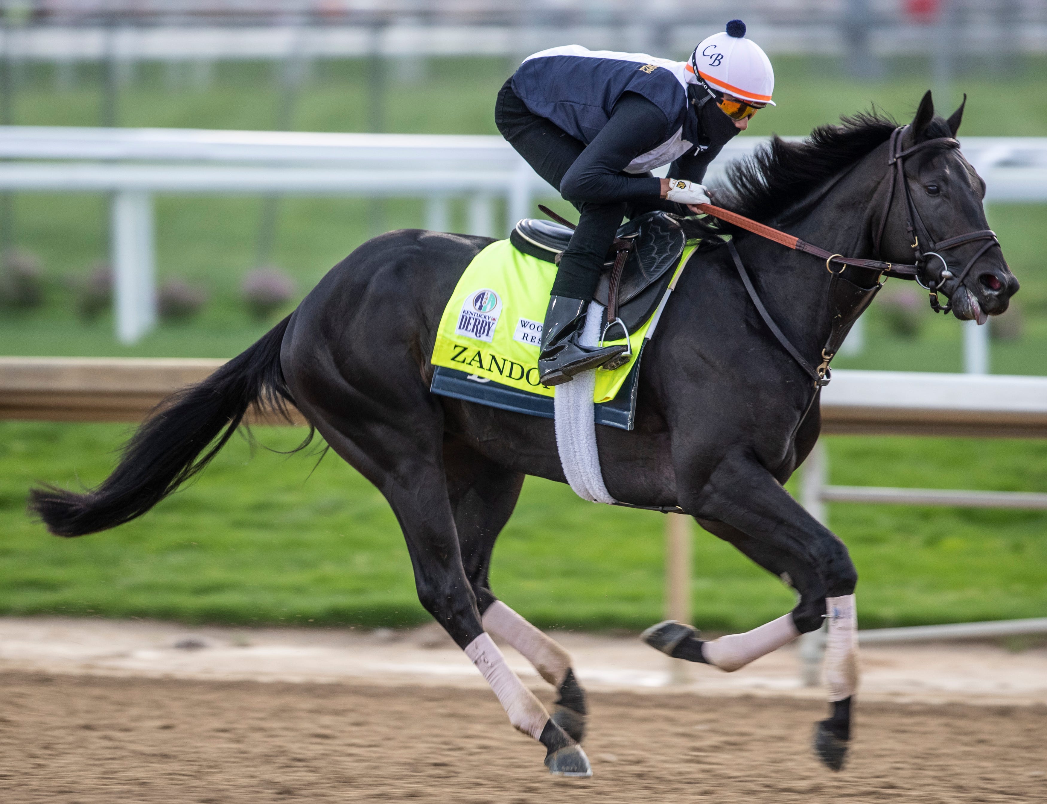 Exclusive kentucky derby horses 2022 pictures capturing the thrill