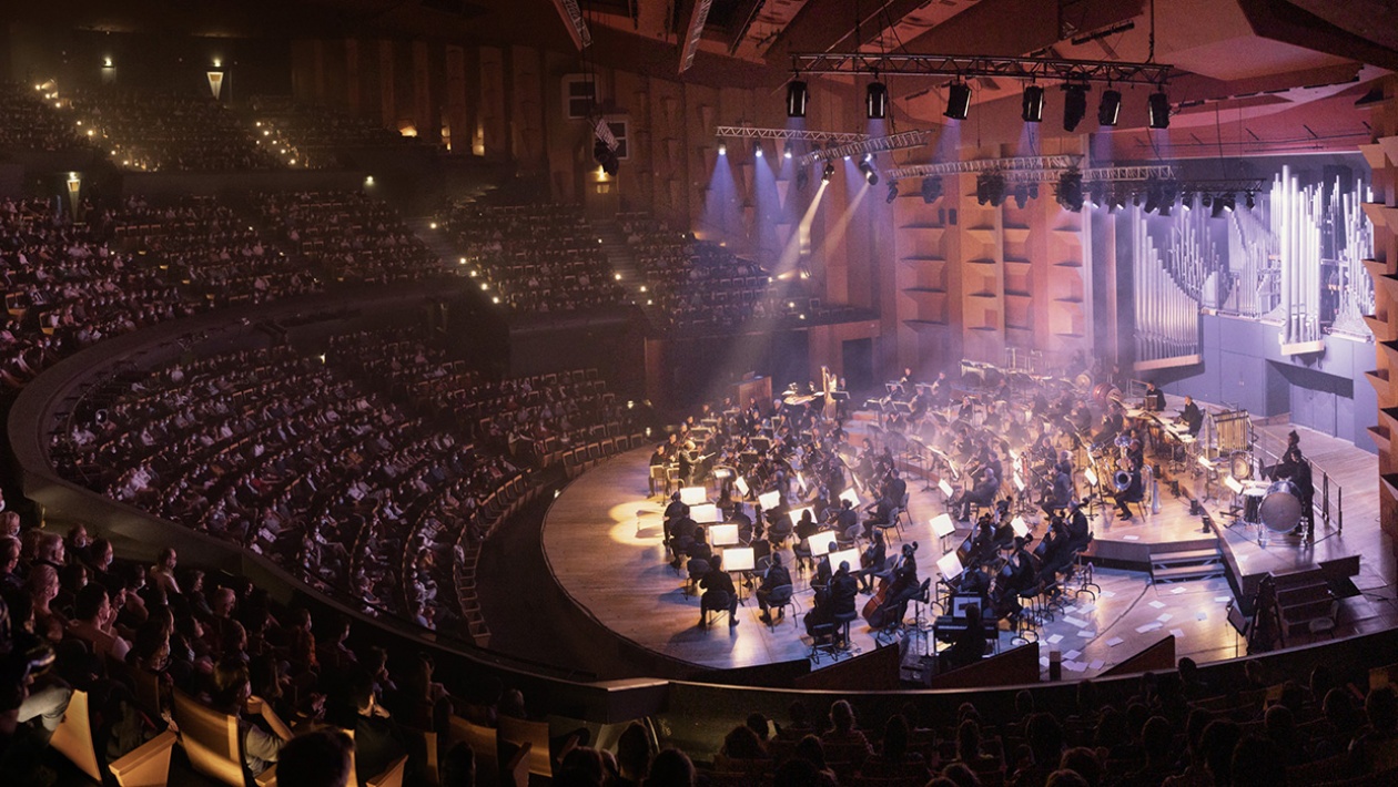 **stage lyon** unleashes the spirit of sports with exciting events