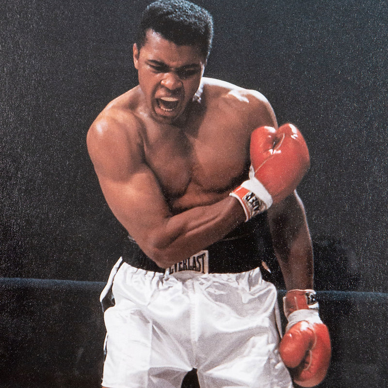 Sporting legends captured in stunning muhammad ali headshot images