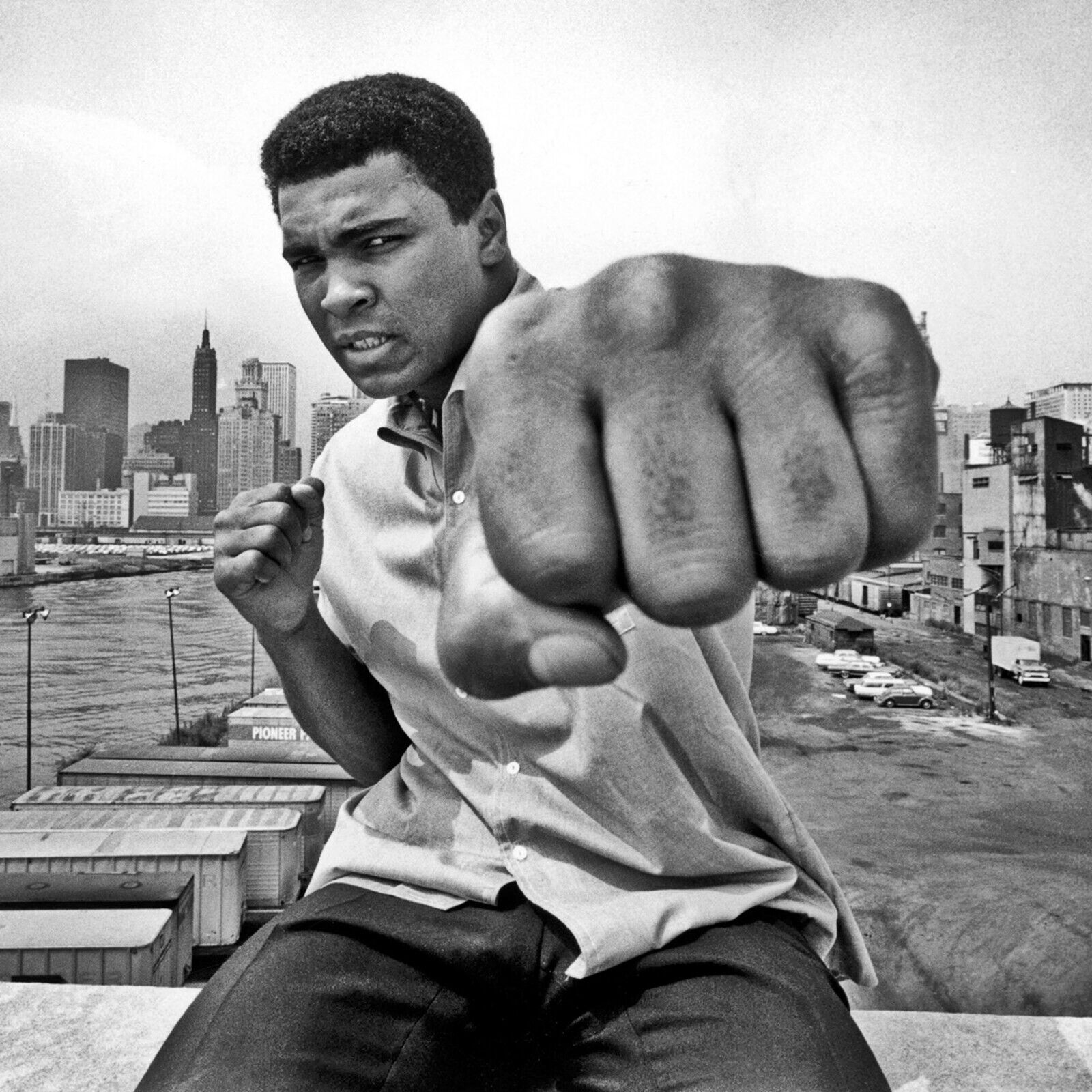 Muhammad ali print showcasing passionate moments of a boxing legend