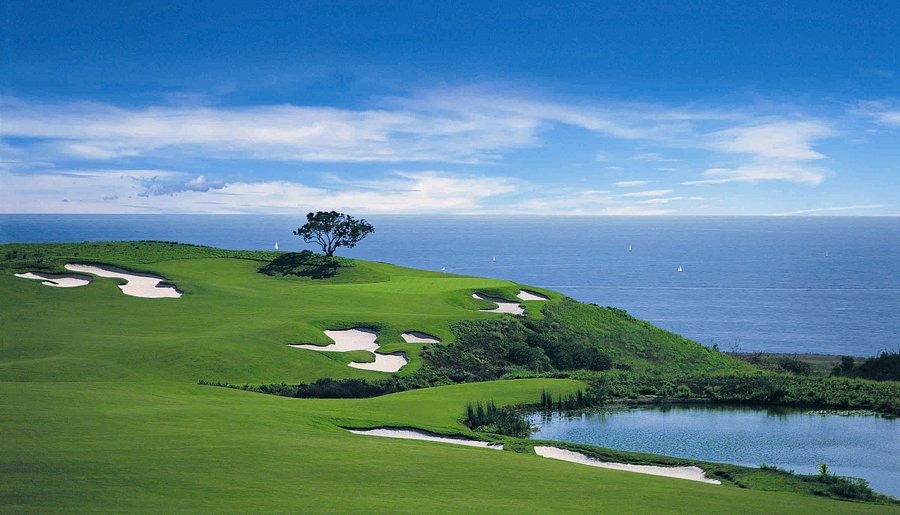 Resilient players thrive at the pelican golf club showcasing skill