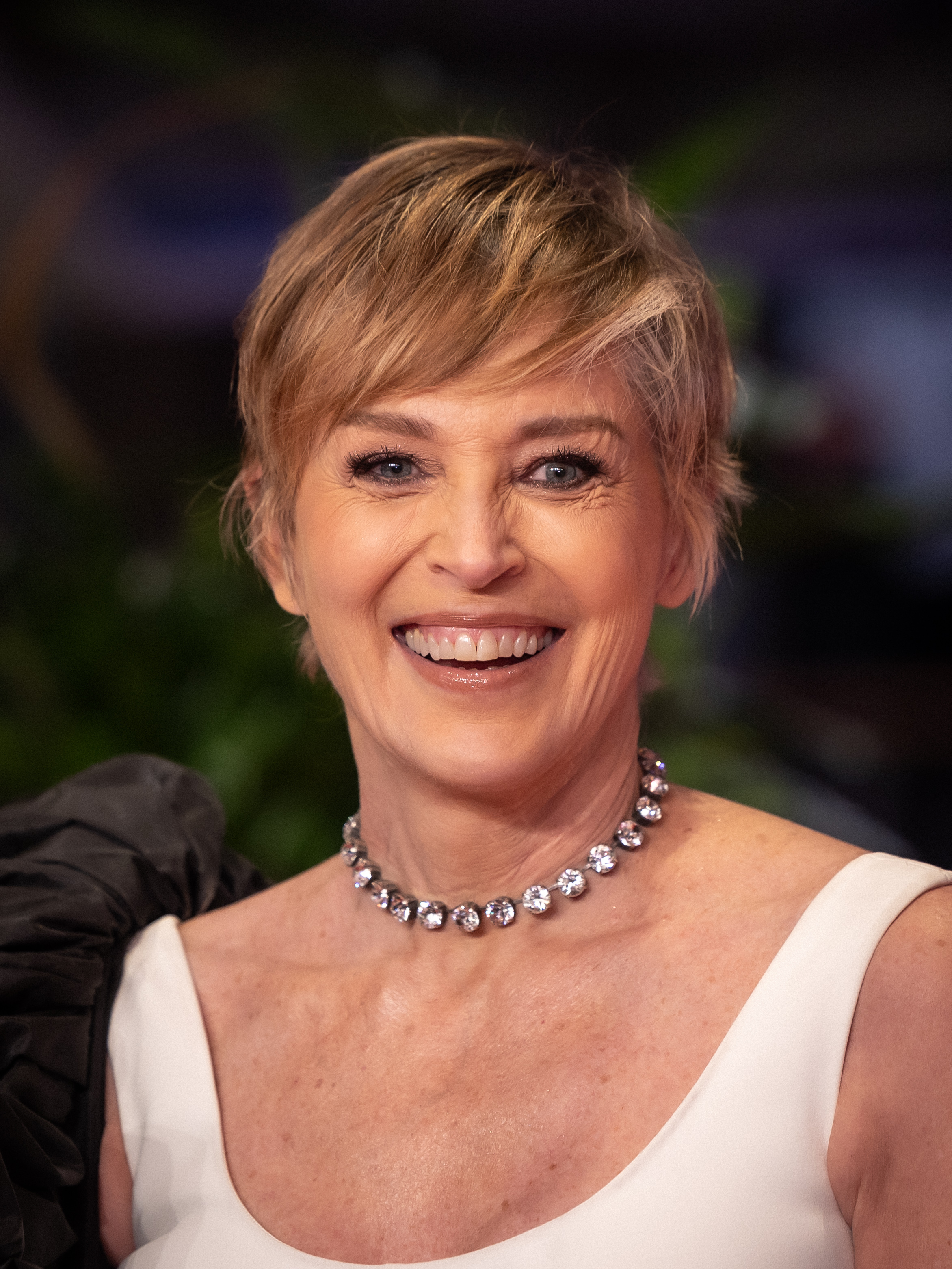 Picture of sharon stone motivated to inspire your creative journey