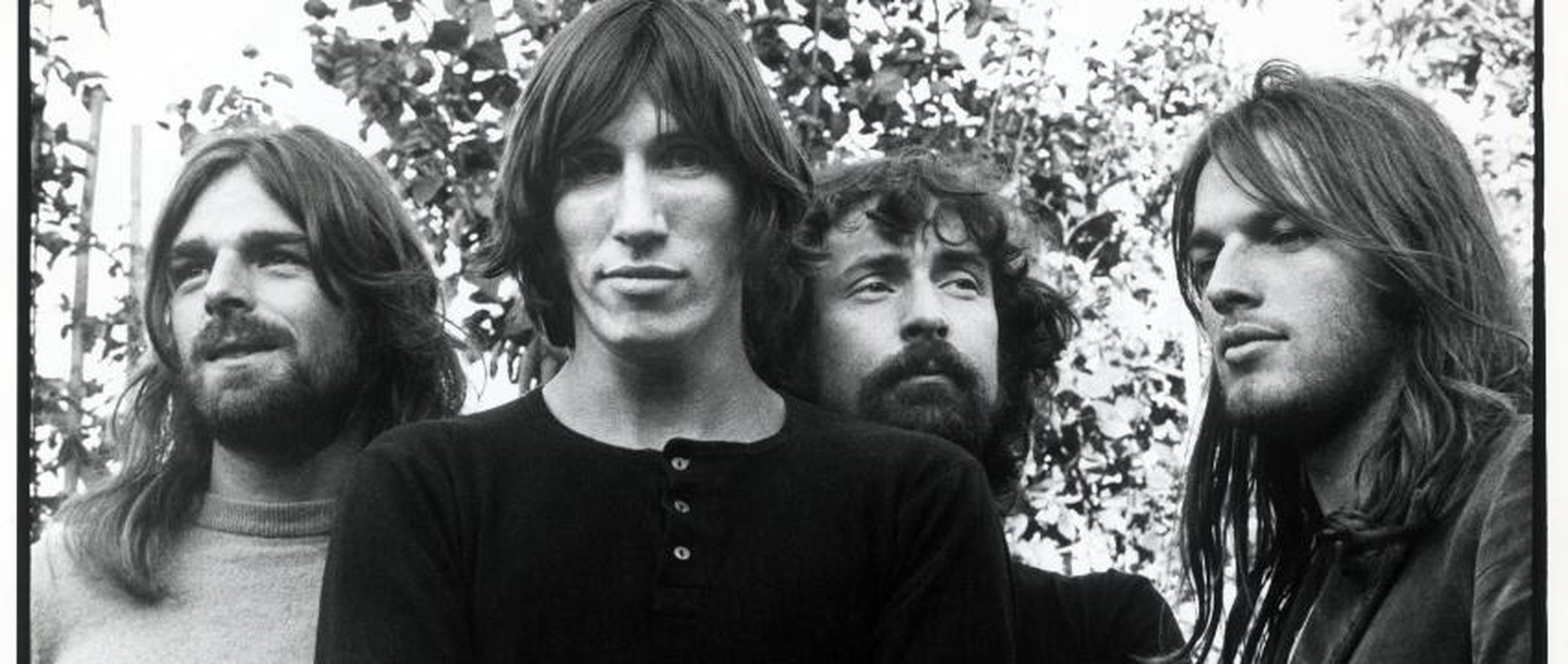 Focused on iconic pink floyd group photo capturing timeless memories