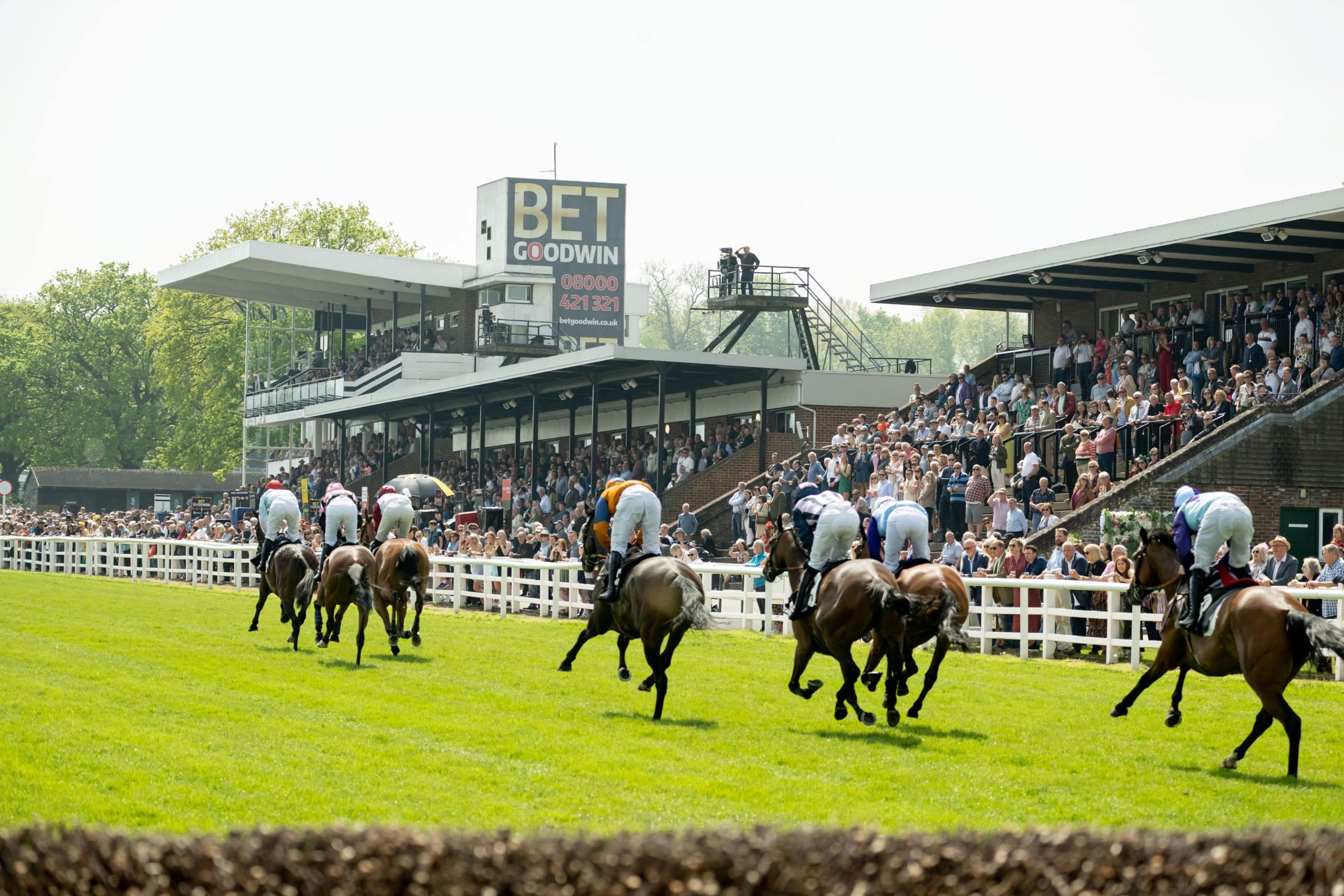 Plumpton races offer unparalleled thrills and excitement for all fans