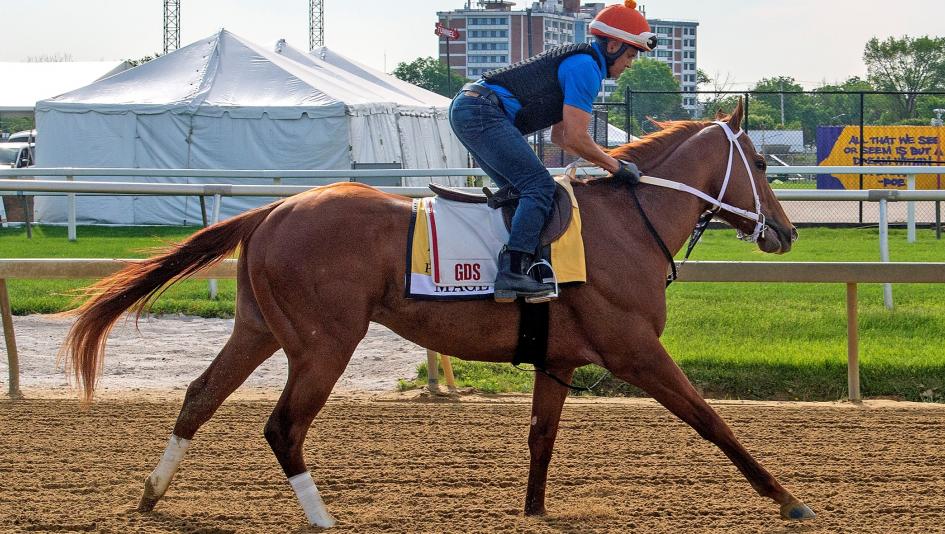 **preakness 2023 horses pictures** showcasing the thrill of the race