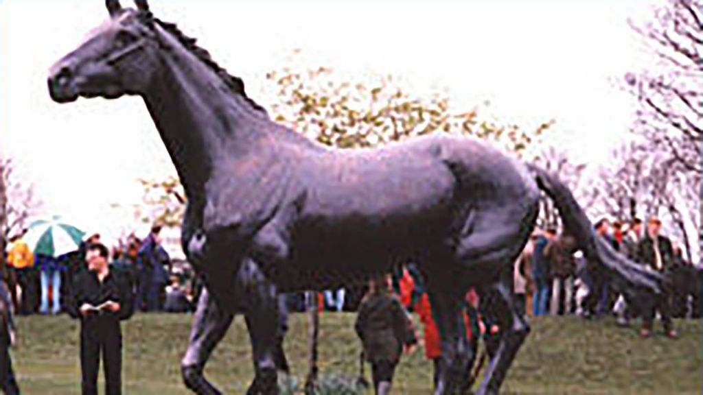 Teamwork led red rum to victory in the grand national three times