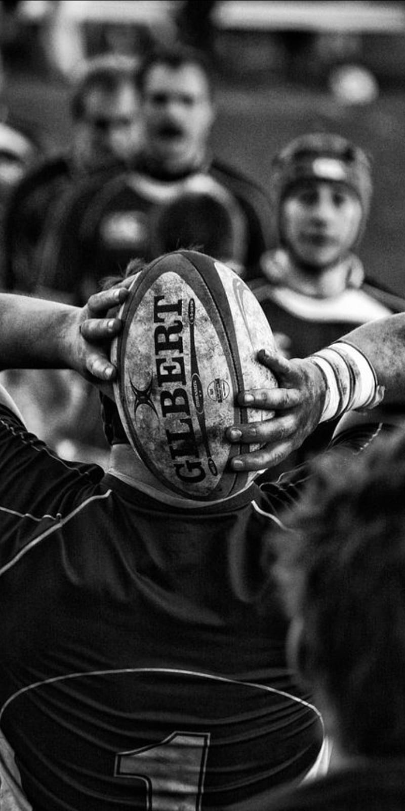 Rugby wallpaper in contemporary design for passionate fans