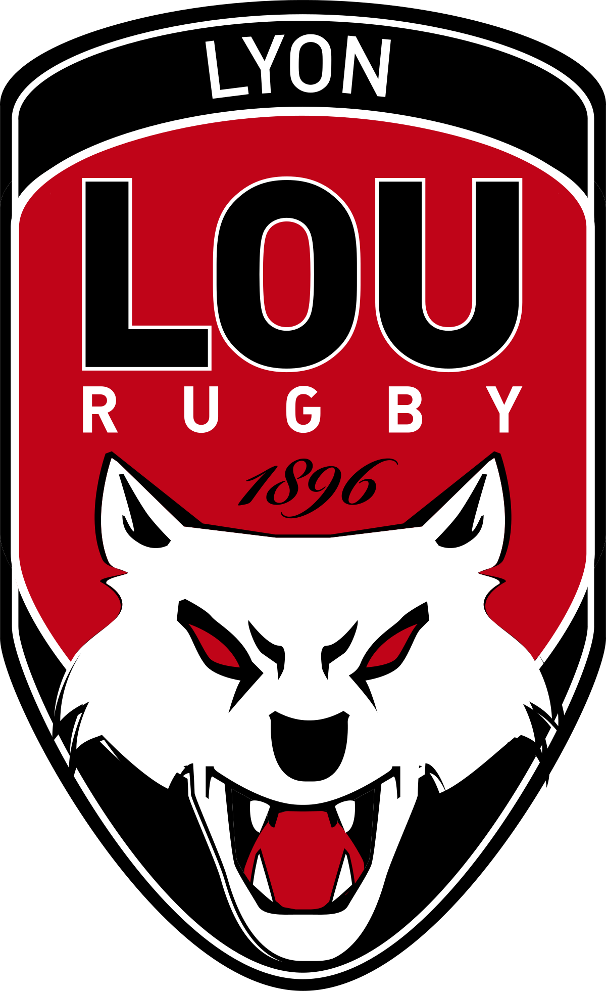 Rugby lyon formidable: unleashing the spirit of the game today