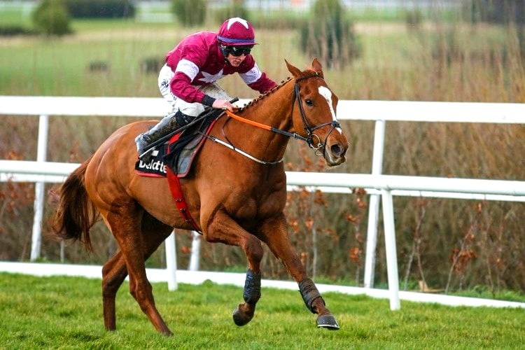 Victorious samcro horse showcases incredible talent in racing world
