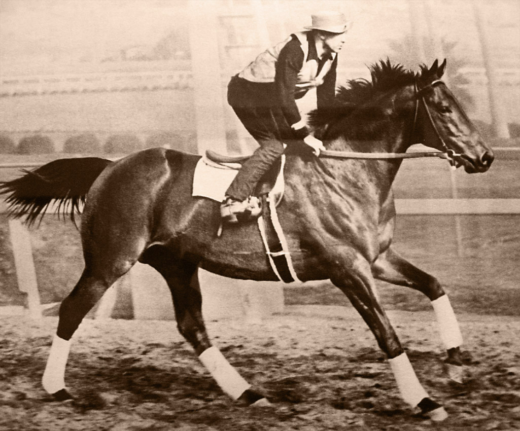 Seabiscuit horse jockey and the sophisticated legacy of racing excellence