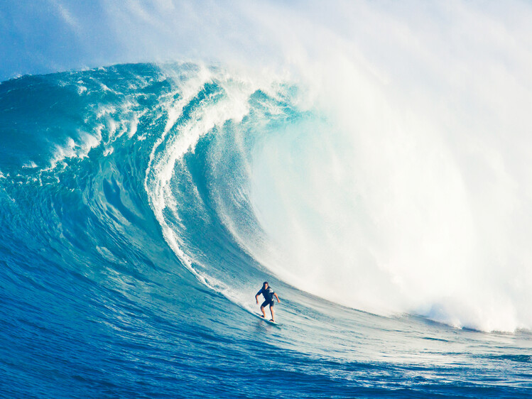 Surfing posters that capture the relentless spirit of the waves