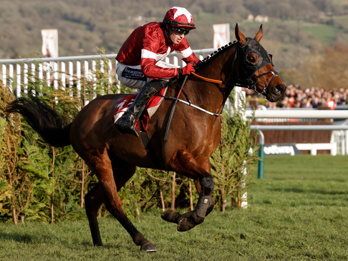 Tiger roll cheltenham passionate moments in racing history unveiled