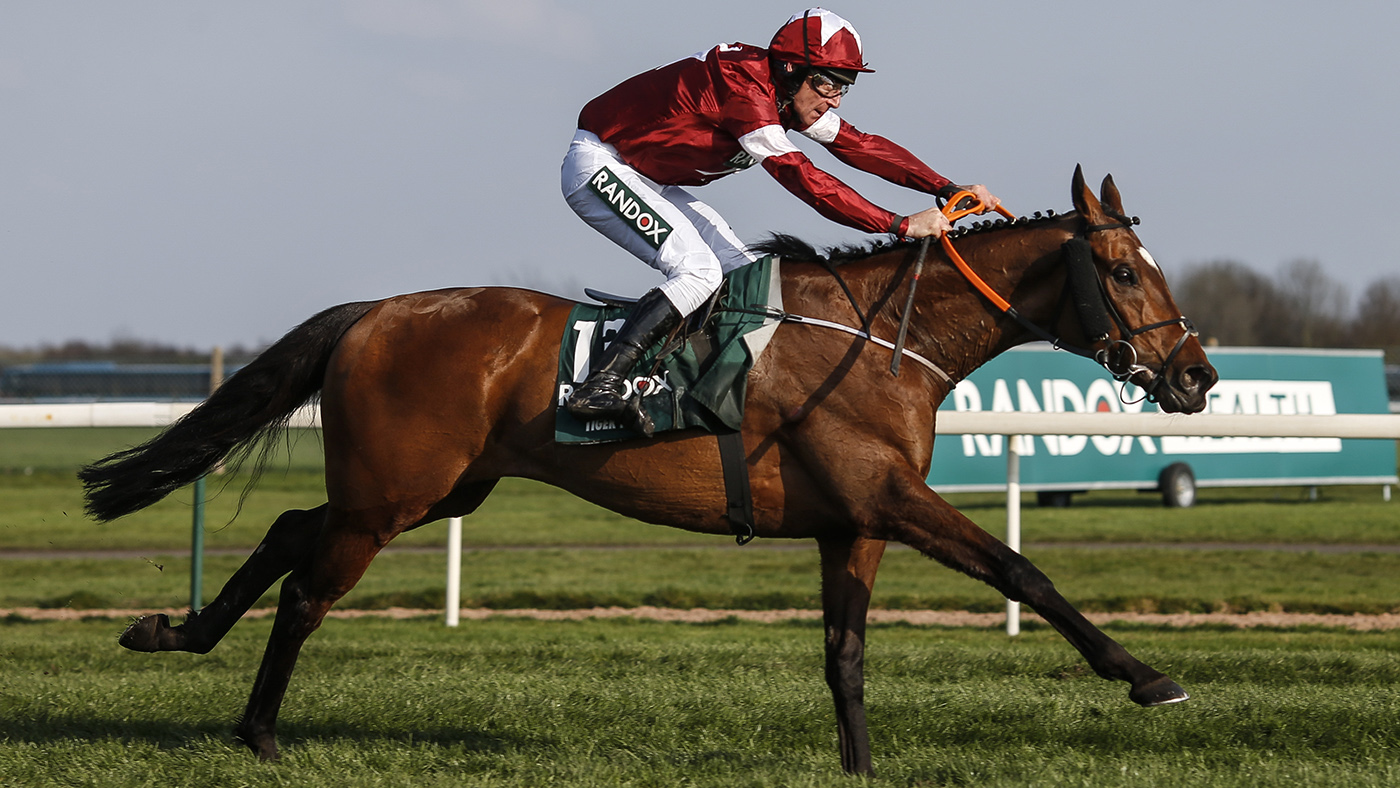 Tiger roll horse inspires fans with incredible racing achievements