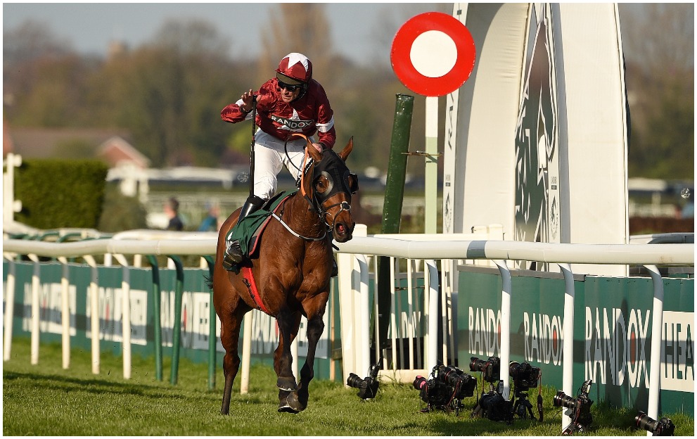Tiger roll next race stylish updates you don’t want to miss