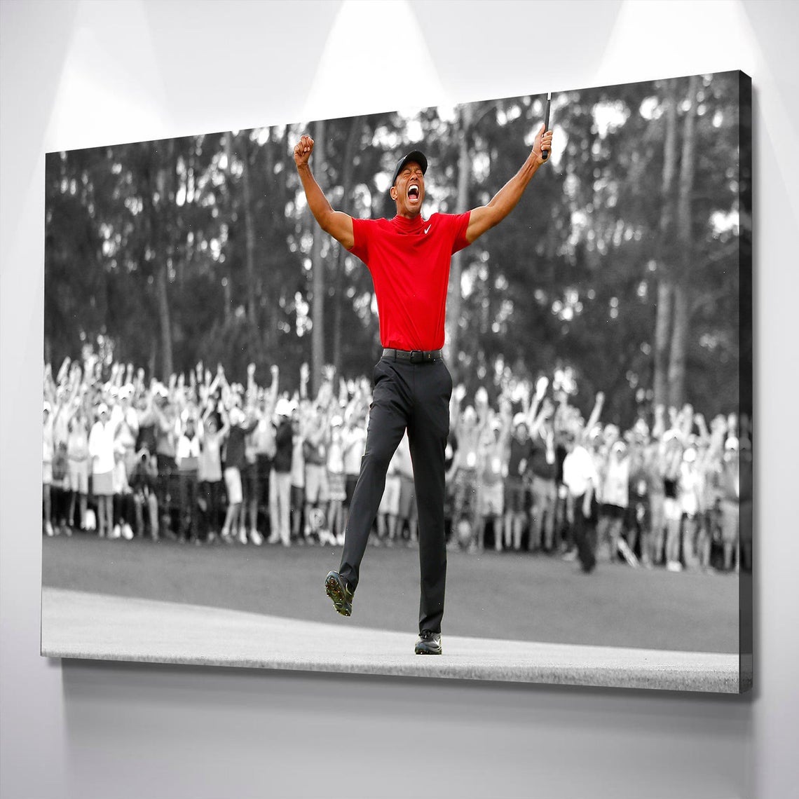 Fearless tiger woods canvas prints to inspire your space today