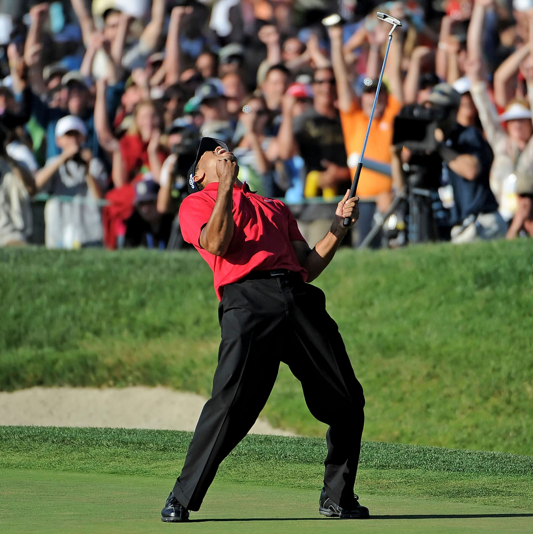 Tiger woods torrey pines: a motivated journey to golfing greatness