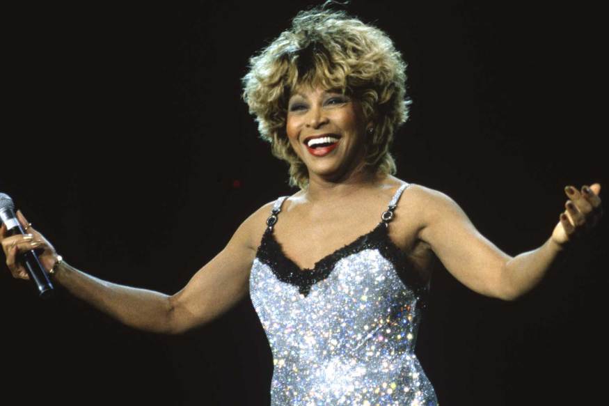 Ambitious tina turner portrait capturing the essence of a legend