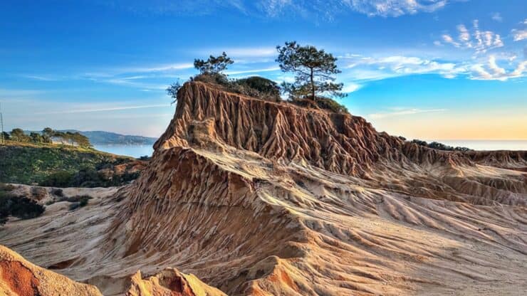 Torrey pines images showcasing relentless beauty and nature’s strength