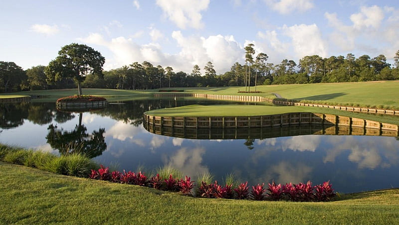 Competitive tpc sawgrass 17 wallpaper that captures golf’s allure