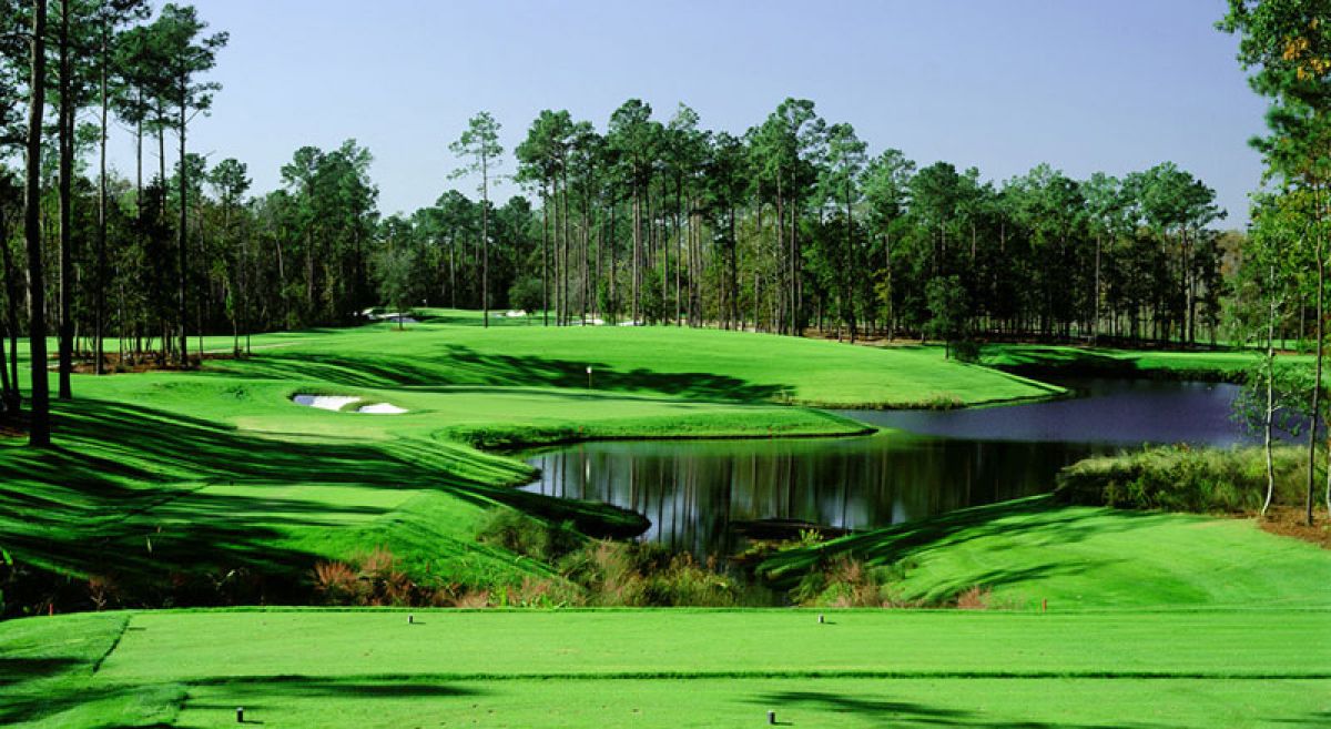 Tpc south the ultimate destination for golf enthusiasts today