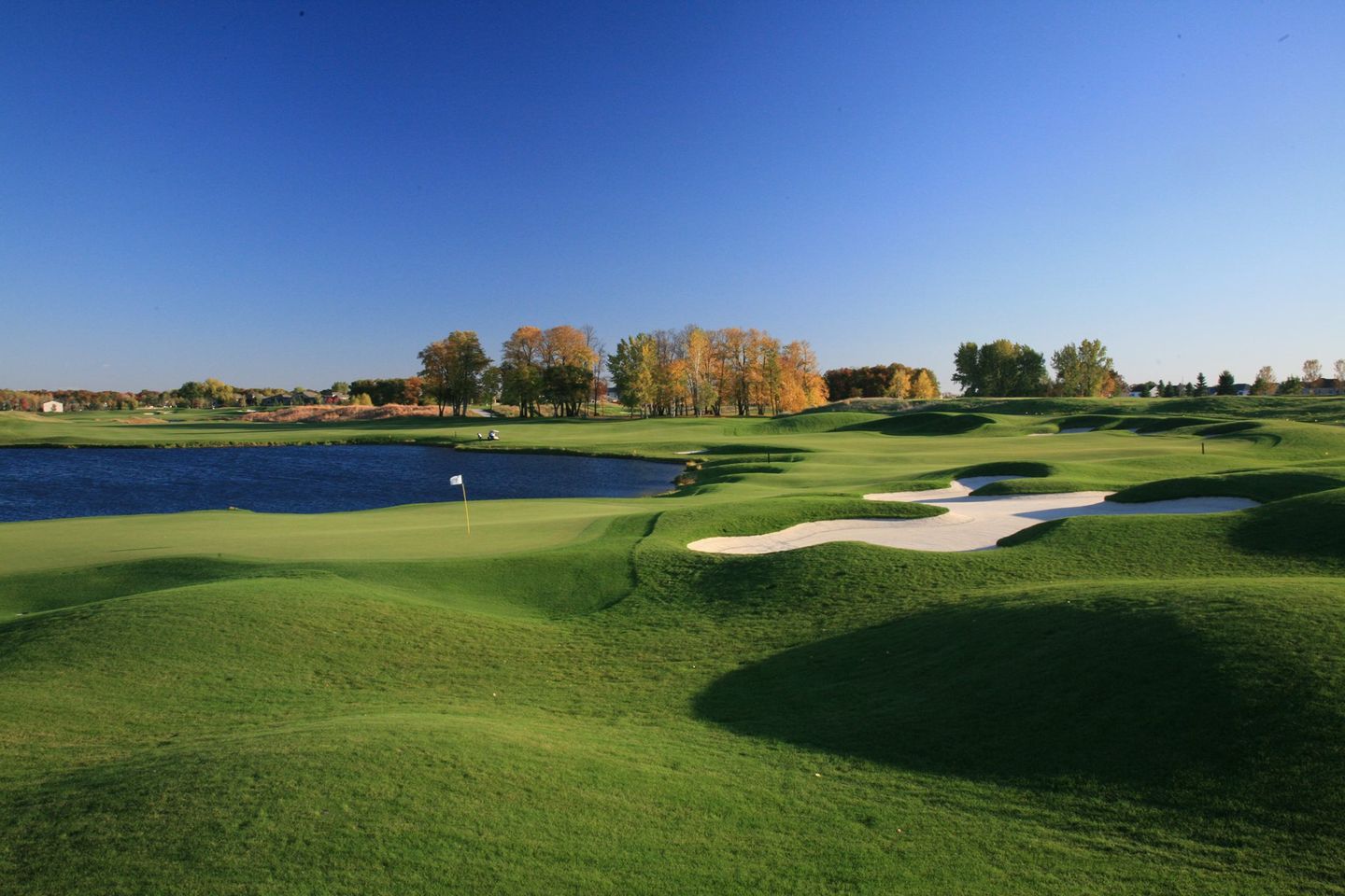 Persevering through the lens stunning tpc twin cities photos showcase talent