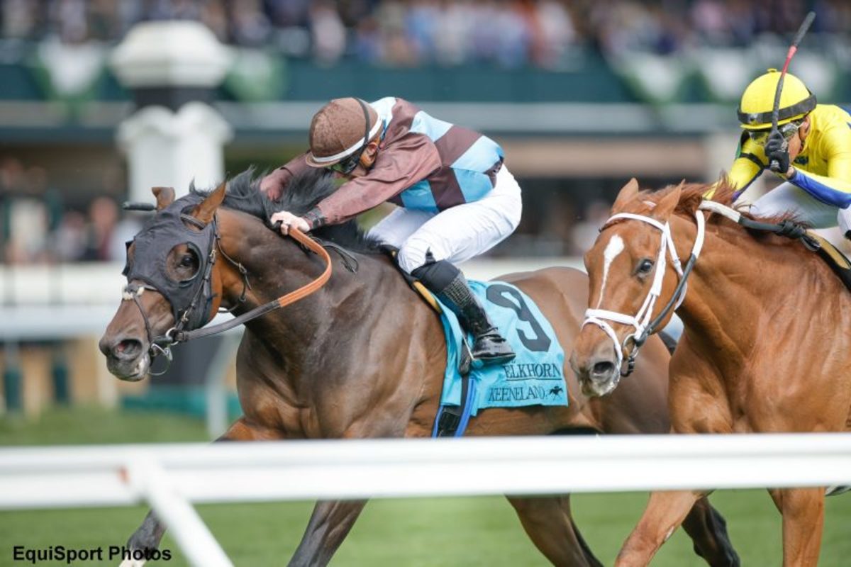 Verstappen horse gallops into the competitive racing spotlight