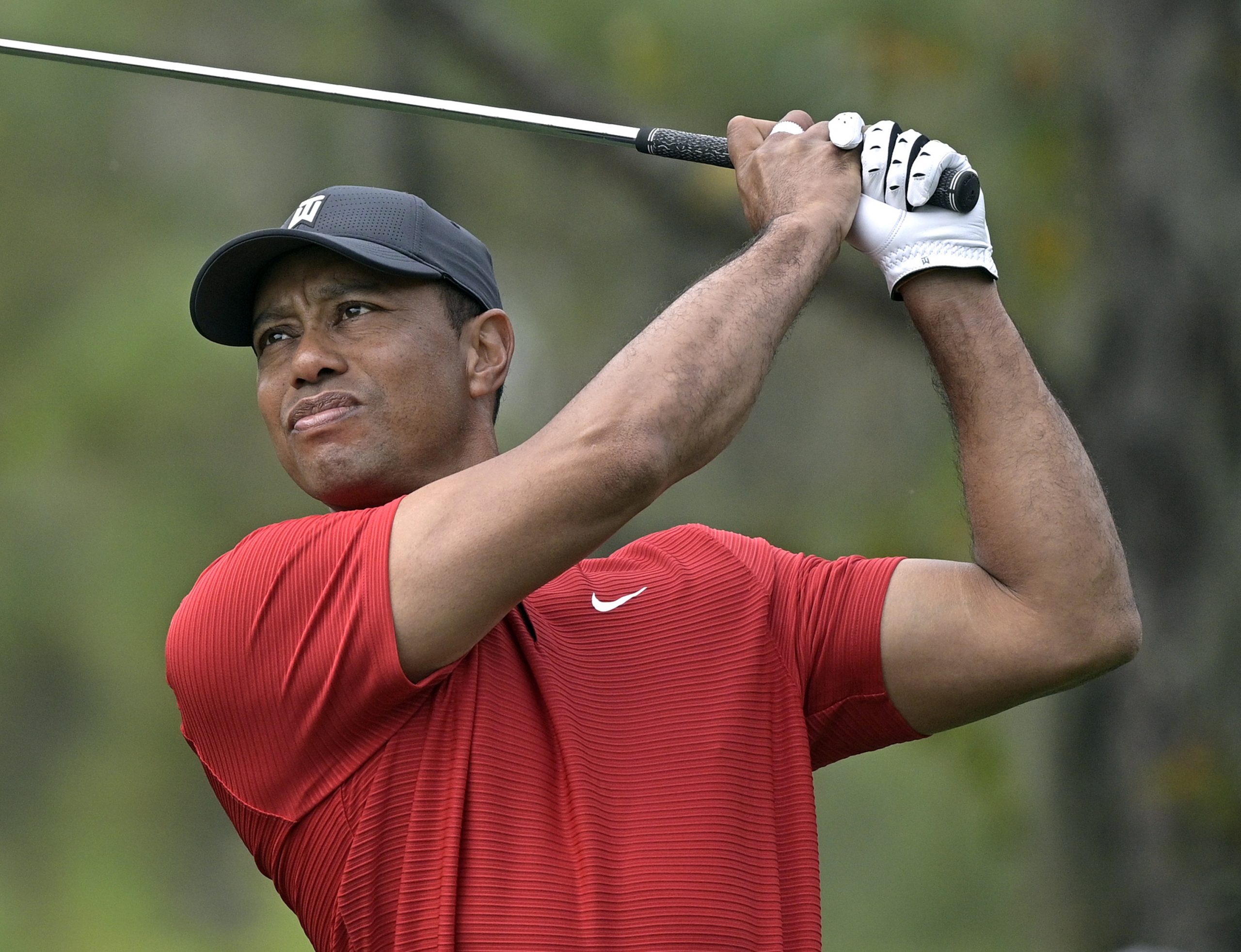 What grips does tiger use to inspire greatness on the golf course