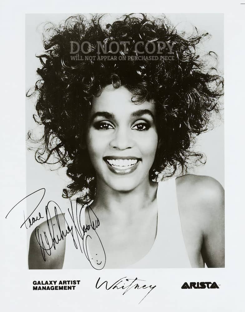Groundbreaking whitney houston portrait captures her timeless spirit