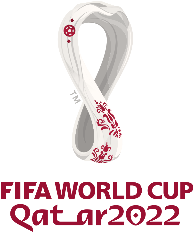 **explore the most stunning world cup 2022 photos captured**